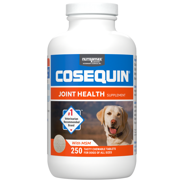 Nutramax Cosequin for Dogs Joint Health Supplement, Contains Glucosamine for Dogs, Plus Chondroitin and MSM, Supports Healthy Joints, Chewable Tablets, 250 Count