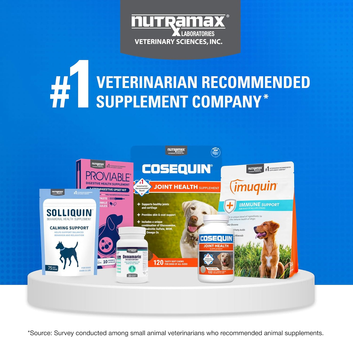 Nutramax Cosequin for Dogs Joint Health Supplement, Contains Glucosamine for Dogs, Plus Chondroitin and MSM, Supports Healthy Joints, Chewable Tablets, 250 Count