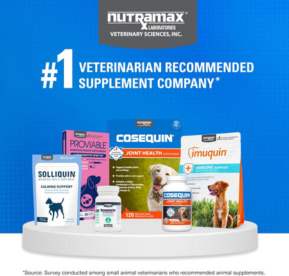 Nutramax Cosequin for Dogs Joint Health Supplement, Contains Glucosamine for Dogs, Plus Chondroitin and MSM, Supports Healthy Joints, Chewable Tablets, 250 Count